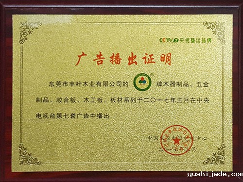 广告播出证明
