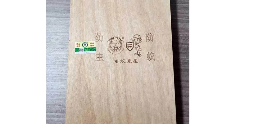 金秋钜献|云博平台登录入口官网双11促销，劲爆优惠活动来袭！