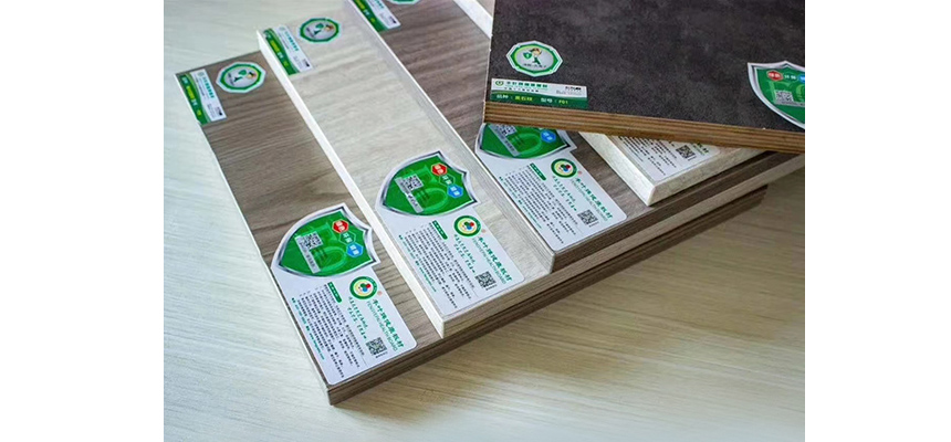 问：为什么多层生态板使用中会出现生虫情况？